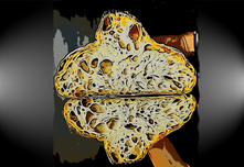 O secreto mellor gardado de Bergantiños